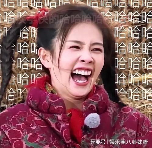 乘龙快婿电视剧表情包,笑料百出，甜蜜爆表的恋爱日常